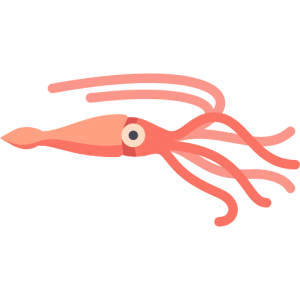 Squid PNG-47189